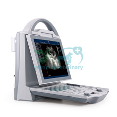 Portable B/W Vet Ultrasound Machine YSB5600V