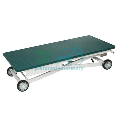 Electric Mobile Grooming Table YSFT-833E