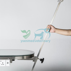 ACE Deluxe Illumination Grooming Table YSFT-889