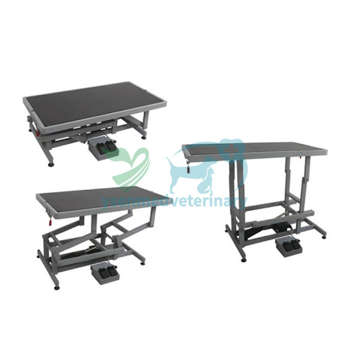Super Stable Electric Lifting Table YSFT-806/806S/806P