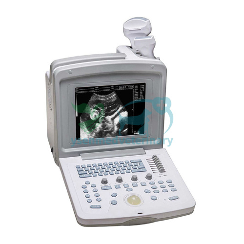 B/W Portable Veterinary Ultrasound Scanner YSB180V