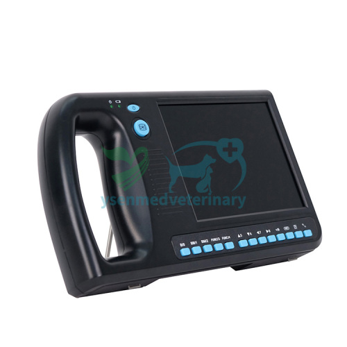 Digital Ultrasound Scanner For Veterinary Purpose YSB3000V