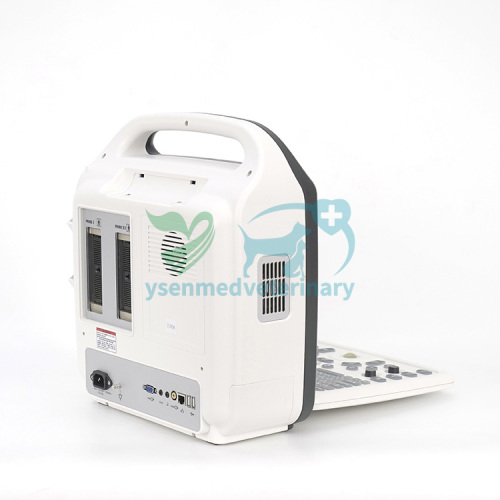 Veterinary Use Portable Color Doppler USG Machine YSB-DU10V