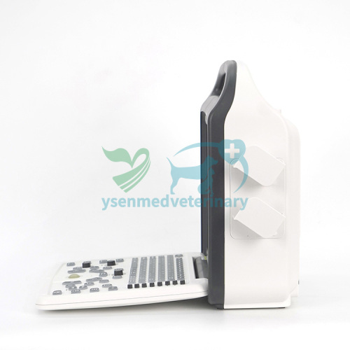Veterinary Use Portable Color Doppler USG Machine YSB-DU10V