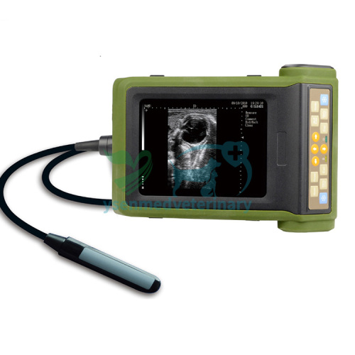 YSB-R10V Portable Veterinary Ultrasound Machine