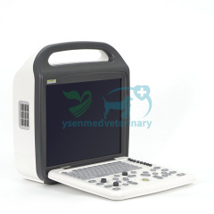 Veterinary Use Portable Color Doppler USG Machine YSB-DU10V