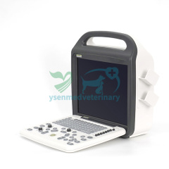 Veterinary Use Portable Color Doppler USG Machine YSB-DU10V