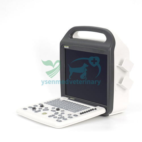 Máquina USG Doppler color portátil para uso veterinario YSB-DU10V