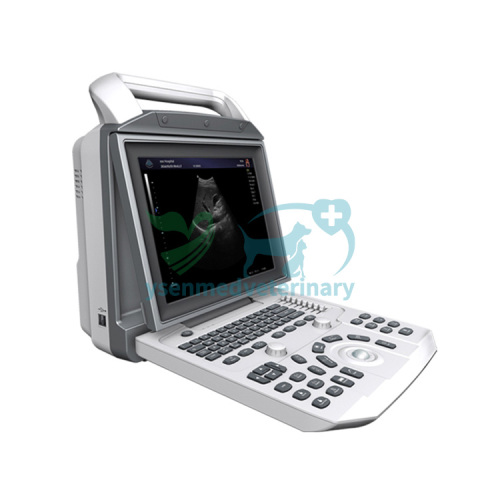 Portable White & Black Vet Use Ultrasound Machine YSB-i50vet
