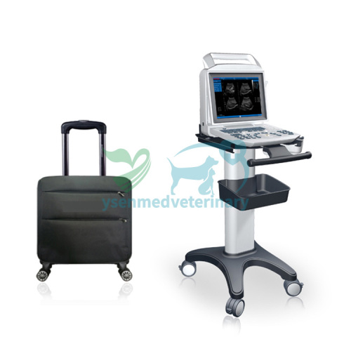 Portable White & Black Vet Use Ultrasound Machine YSB-i50vet