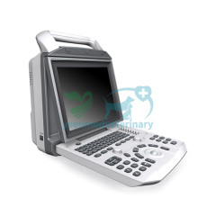 Color Doppler Veterinary Ultrasound System YSB-V30 VET