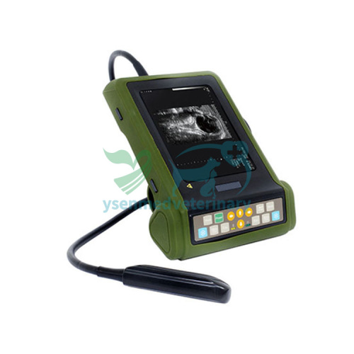 YSB-R10V Portable Veterinary Ultrasound Machine