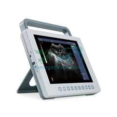 Animal Hospital Veterinary ultrasound YSB-K10V