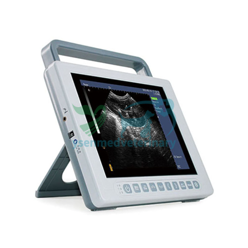 Animal Hospital Veterinary ultrasound YSB-K10V
