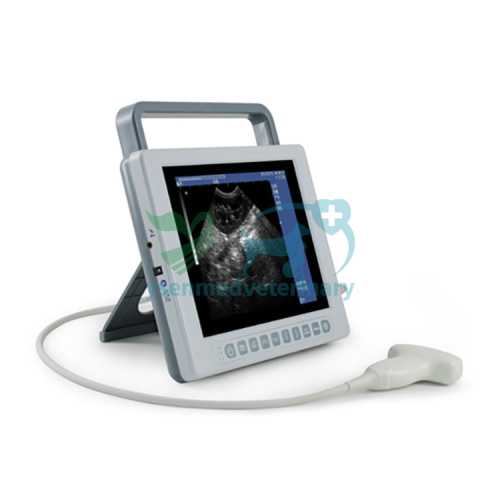 Animal Hospital Veterinary ultrasound YSB-K10V