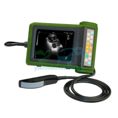 YSB-R10V Portable Veterinary Ultrasound Machine