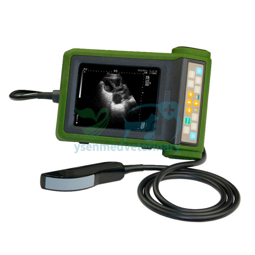 YSB-R10V Portable Veterinary Ultrasound Machine
