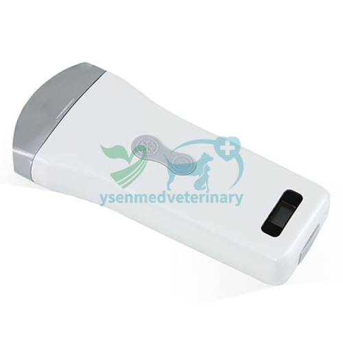 Veterinary Wireless Ultrasound Convex Probe With Mobile Phone YSB-W1