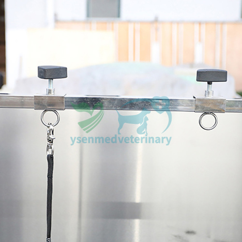 Rounded Corner Electrical Bathing Tub with Overhead Grooming Arm and Lifting Door YSBTS-142E