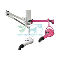 Pet Hair Dryer YSTD-905