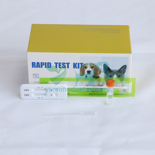 Tiras de prueba rápidas veterinarias CDV CAV Ag Canine Moquillo-Adeno Virus Antigen Combo Test