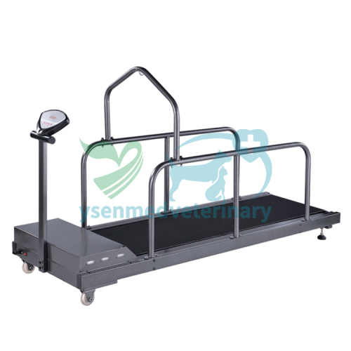 Animal Treadmill Vet Equipment YSVET-TM350