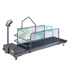 Veterinary Clinic Trainning Treadmill YSVET-TM350WG