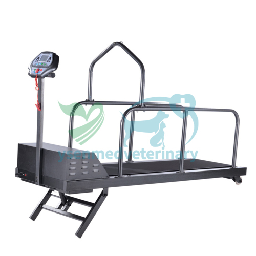 Hot Sale Cheap Treadmill For Dogs Treadmill Dog Pet YSVET-TM300S