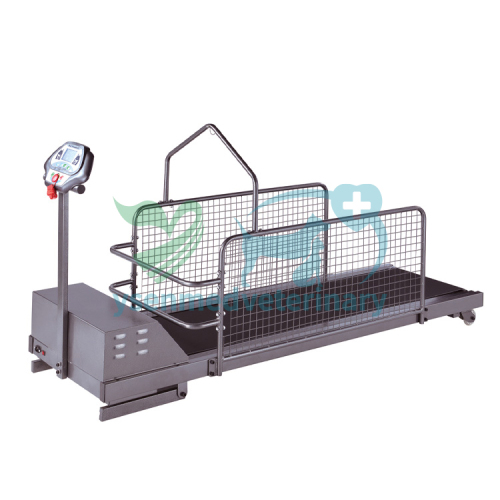Stainless Steel Veterinary Treadmill YSVET-TM350WS