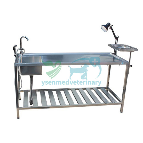 Veterinary dissecting table / Animal autopsy table / Pet dissection table YSVET1600