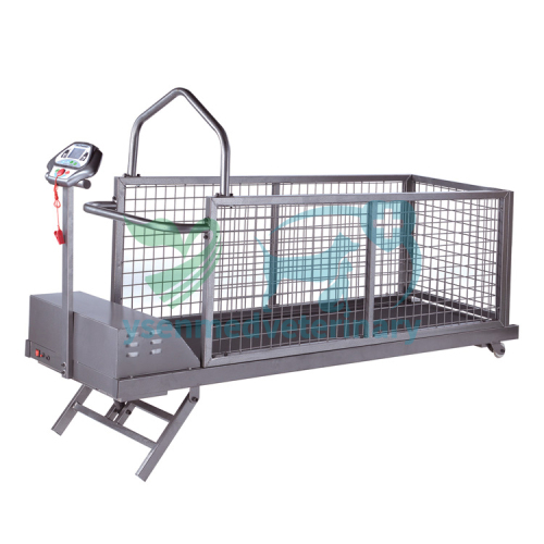 Cheap Electric Dog Treadmill Walking Machine Pets YSVET-TM400WSG