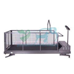 Wholesale Home Use Electrical Pet Dog Walking Treadmill For Dogs YSVET-TM400WSH