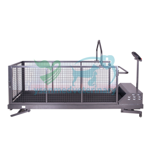Wholesale Home Use Electrical Pet Dog Walking Treadmill For Dogs YSVET-TM400WSH