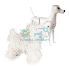 Pet Model dog