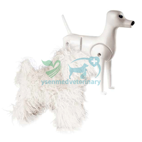 Pet Model dog