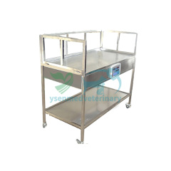 Veterinary treatment table with weighing function YSVET2102