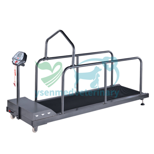 Animal Treadmill Veterinary Strong Durable Dog Treadmill YSVET-TM400G