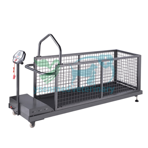 Animal Treadmill Vet Treadmill YSVET-TM400W