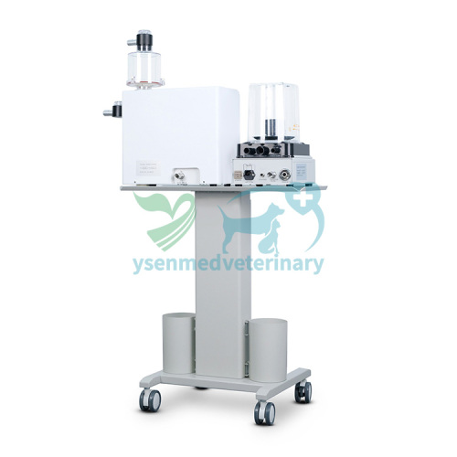 Ventilador de anestesia veterinaria YSAV600MV