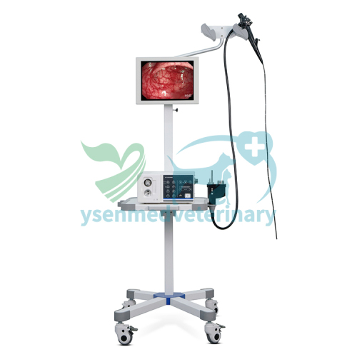 High Definition Veterinary Video Endoscope System YSENDO150V