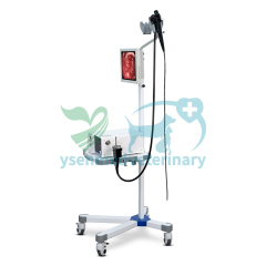 High Definition Veterinary Video Endoscope System YSENDO150V