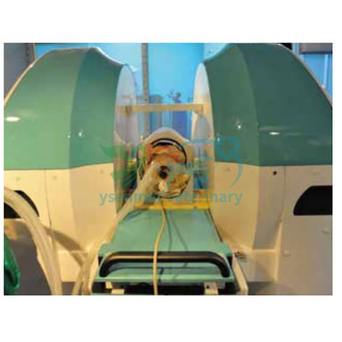 Vet MRI 0.35T Veterinary MRI YSMRI