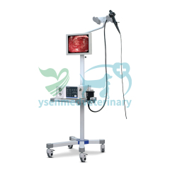 High Definition Veterinary Video Endoscope System YSENDO150V