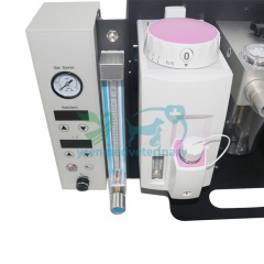 Máquina de anestesia veterinaria YSAV120V3