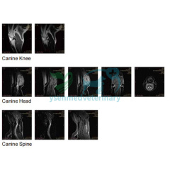 Vet MRI 0.35T Veterinary MRI YSMRI