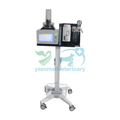 Máquina de anestesia veterinaria YSAV120V2
