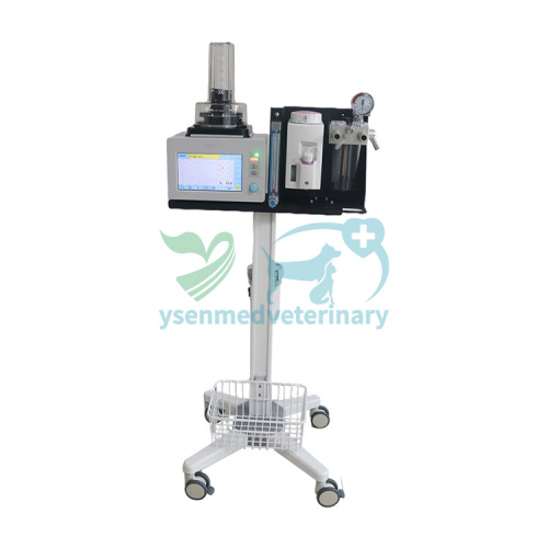 Máquina de anestesia veterinaria YSAV120V2