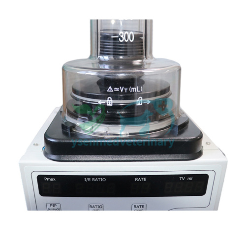 Ventilador de anestesia veterinaria YSAV-R60V
