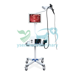 High Definition Veterinary Video Endoscope System YSENDO150V