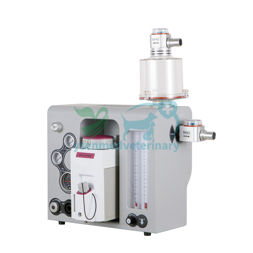 Equipo de anestesia médica Veterinario Máquina de anestesia portátil YSAV560PV
